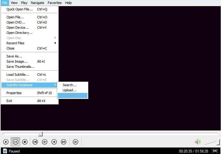 Subtitle Codec & Renderer Bundle